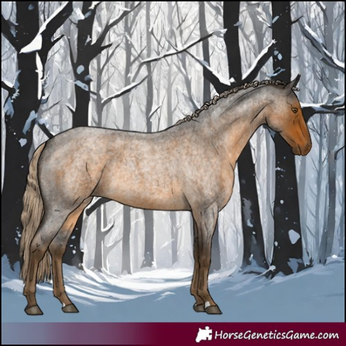Horse Color:Chocolate Palomino Roan