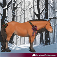 Horse Color:Bay Rabicano 