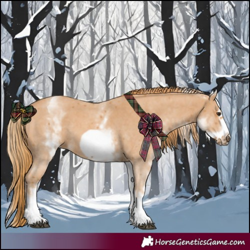 Horse Color:White Spotted Chestnut Sabino Frame Rabicano 