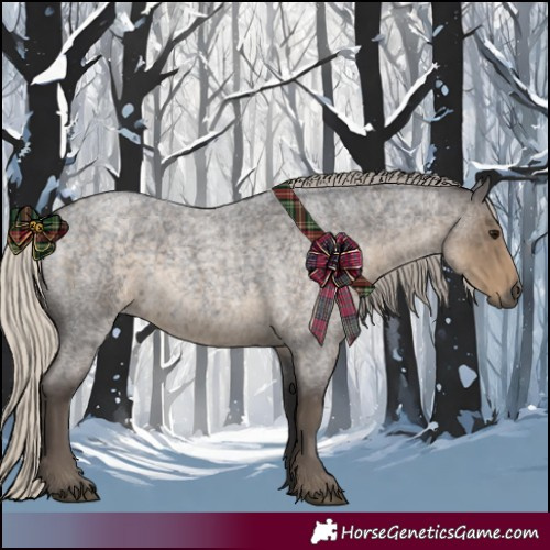 Horse Color:Silver Smoky Blue Roan 