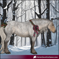Horse Color:Silver Smoky Blue Roan 