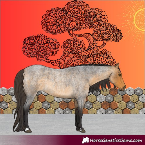 Horse Color:Buckskin Roan 