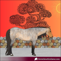 Horse Color:Buckskin Roan 