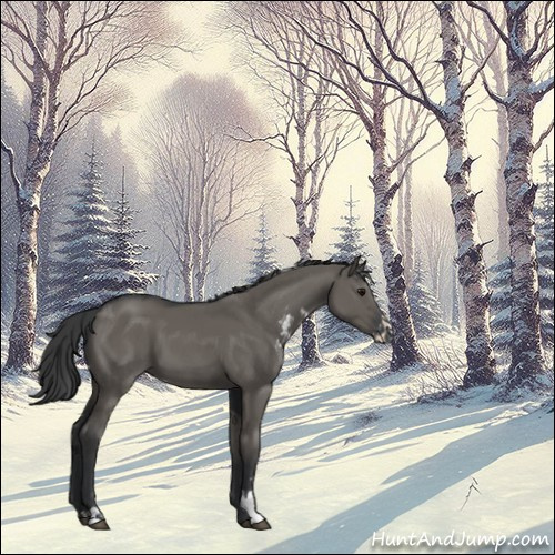 Horse Color:Grullo Sabino 