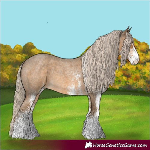 Horse Color:White Spotted Chocolate Palomino Roan 