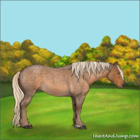 Horse Color:Chocolate Palomino Roan 