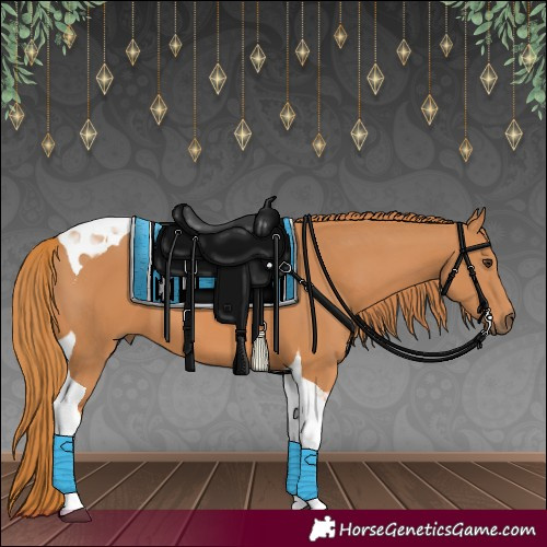Horse Color:Chestnut Tobiano 