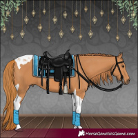 Horse Color:Chestnut Tobiano 