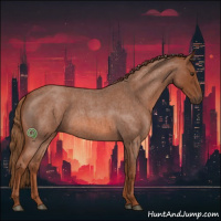 Horse Color:Red Roan 
