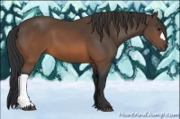 Horse Color:Brown 
