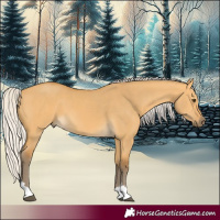 Horse Color:Silver Buckskin Dun 