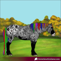 Horse Color:Painted Black Sabino Splash Appaloosa