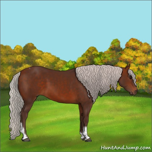 Horse Color:Silver Bay Tobiano 