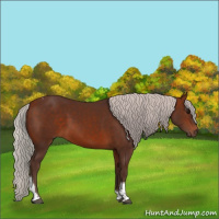 Horse Color:Silver Bay Tobiano 