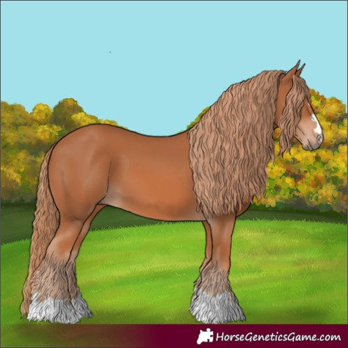 Horse Color:Chestnut 