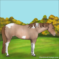 Horse Color:Liver Red Roan Pearl Tobiano Frame