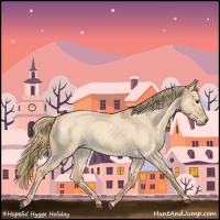 Horse Color:Red Dun Roan 