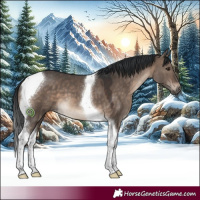 Horse Color:Brown Dun Tobiano 