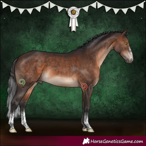 Horse Color:Brown Sabino Tobiano 