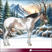 Horse Color:Brown Roan Tobiano