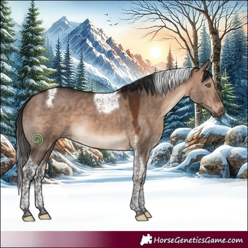 Horse Color:Bay Dun Mushroom Tobiano 