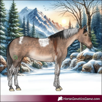 Horse Color:Bay Dun Mushroom Tobiano 