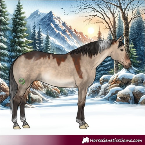 Horse Color:Brown Dun Tobiano