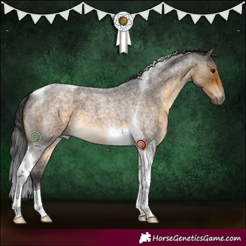 Horse Color:Buckskin Roan Tobiano 
