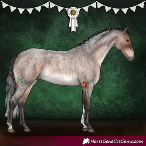Horse Color:Brown Roan Tobiano 