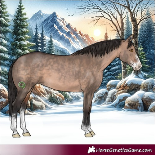 Horse Color:Brown Dun Sabino