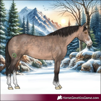 Horse Color:Brown Dun Sabino 