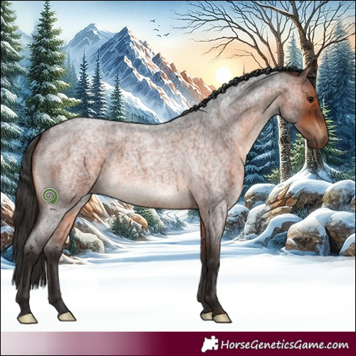 Horse Color:Brown Roan 