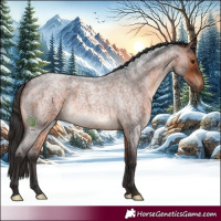 Horse Color:Brown Roan
