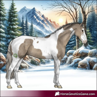Horse Color:White Spotted Silver Smoky Grullo Tobiano
