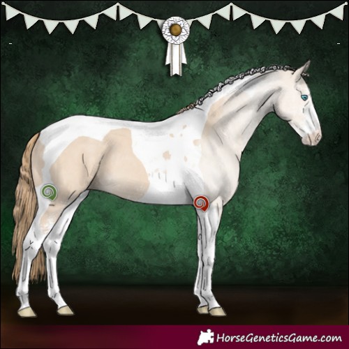 Horse Color:Smoky Creme Dun Sabino Tobiano 