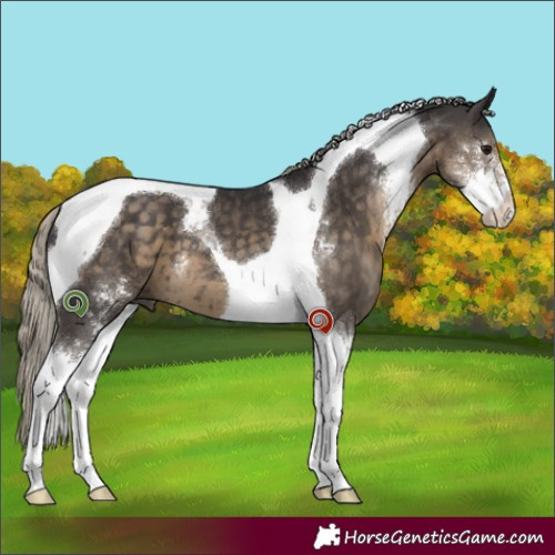 Horse Color:Silver Smoky Black Sabino Tobiano 
