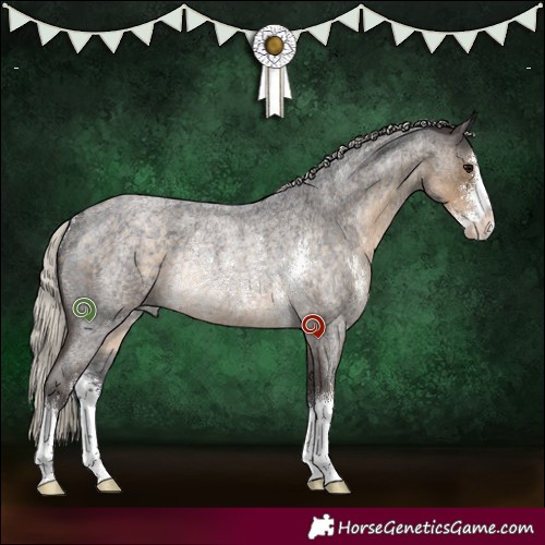 Horse Color:Silver Smoky Blue Roan Sabino Rabicano 