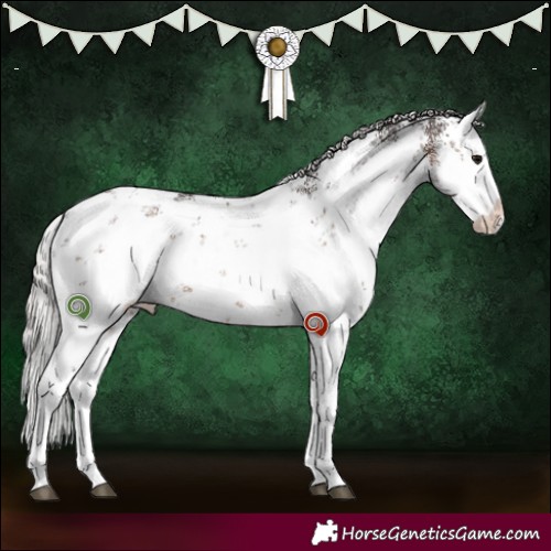Horse Color:White Spotted Silver Brown Sabino 