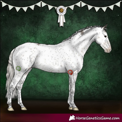 Horse Color:Silver Smoky Grullo Sabino 