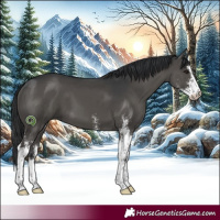 Horse Color:Black Sabino