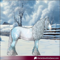 Horse Color:Watercolor White Spotted Silver Brown Chinchilla Sabino