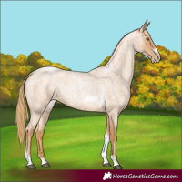Horse Color:Red Roan Pearl Tobiano Frame 