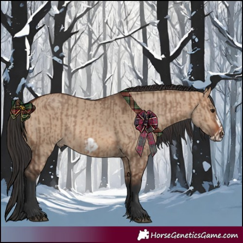 Horse Color:Brown Dun Rabicano and Brown Dun Frame Rabicano