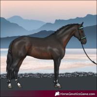 Horse Color:Brown 