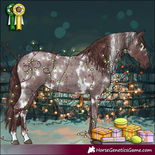 Horse Color:White Spotted Chocolate Smoky Blue Roan 