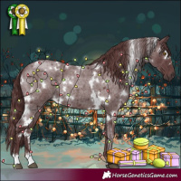 Horse Color:White Spotted Chocolate Smoky Blue Roan