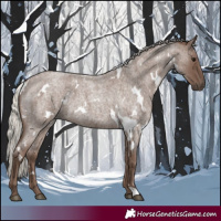 Horse Color:White Spotted Silver Blue Roan 
