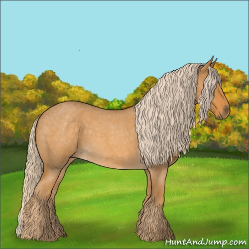 Horse Color:Palomino Roan 