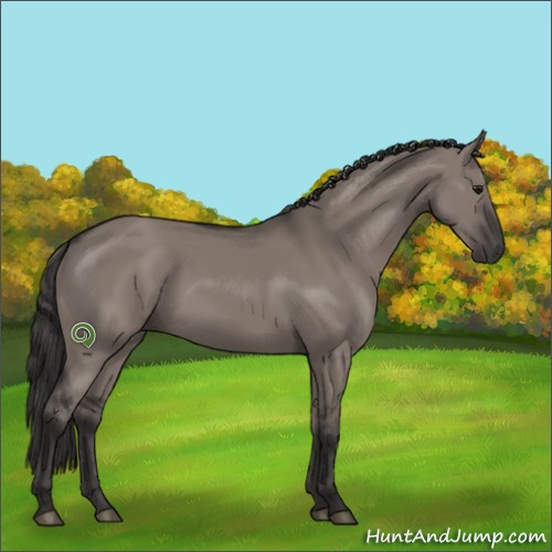 Horse Color:Smoky Grullo 