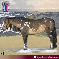 Horse Color:White Spotted Buckskin Tobiano Rabicano 